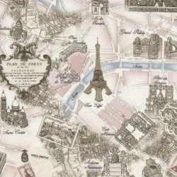 Paris - Pink Toile