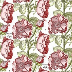 Hatters Tea Party - Antique Rose