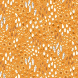 Ditsies - Meadow Apricot
