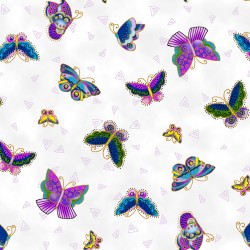 Feline Frolic - Butterflies...