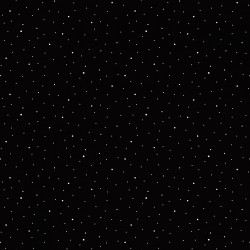 Dapple Dot - Black