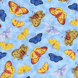 Natural Splendor - Motýli