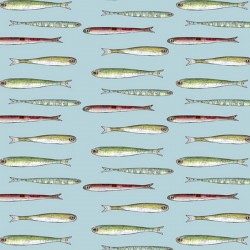 (12m) Set Sail - Fish -45%