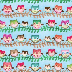 Friendly Forest -  Blue Owl Stripe