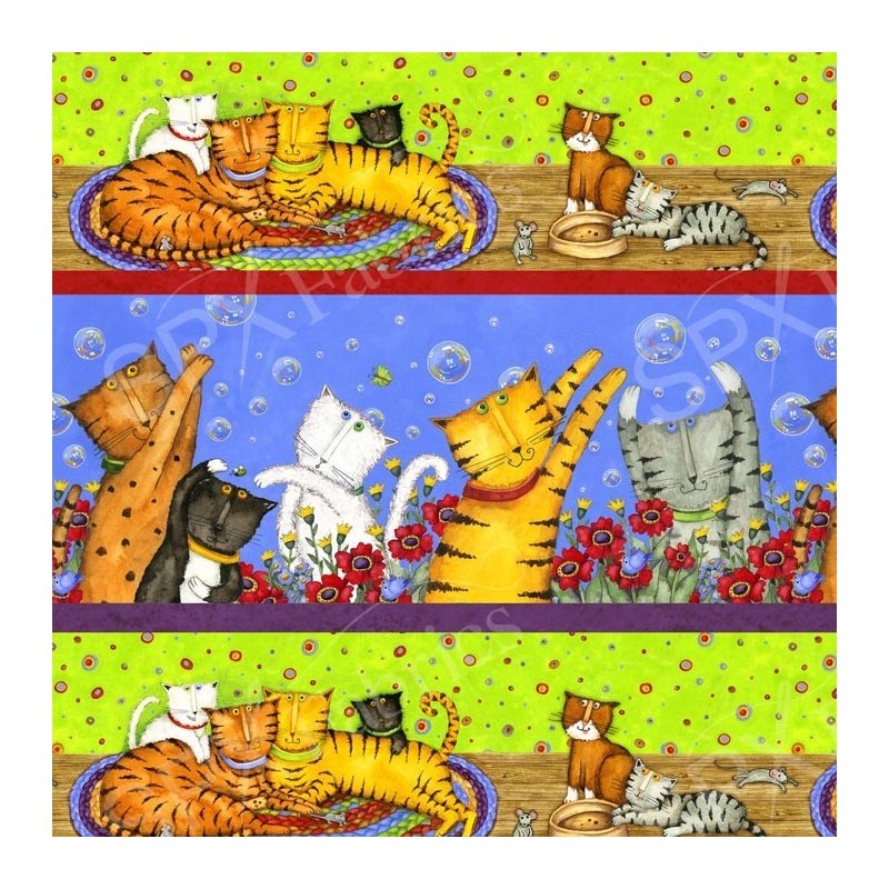 Crazy Cats - Bordura