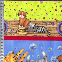 Crazy Cats - Bordura